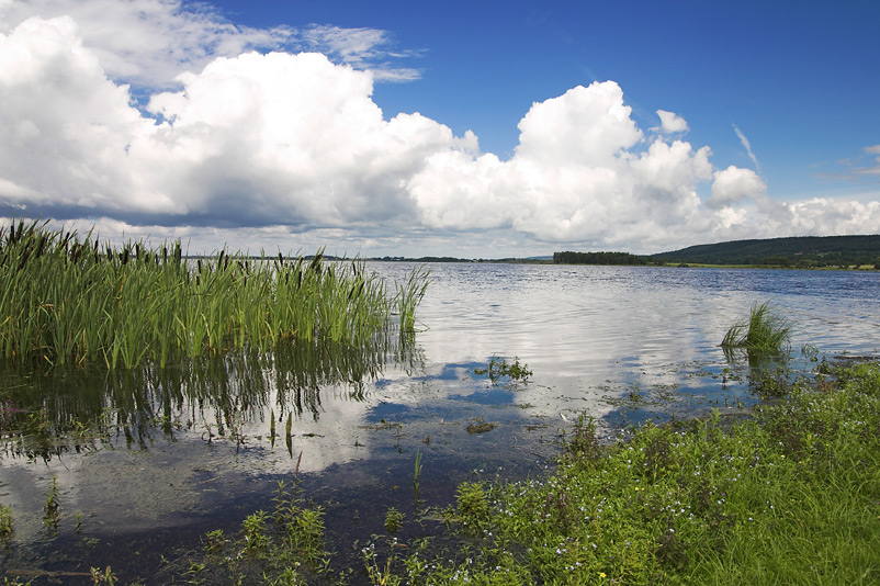 Hornborgasjön