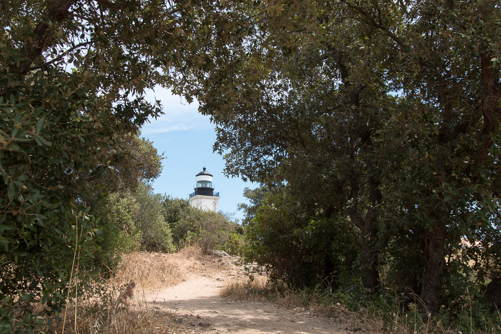 Lighthouse (3)