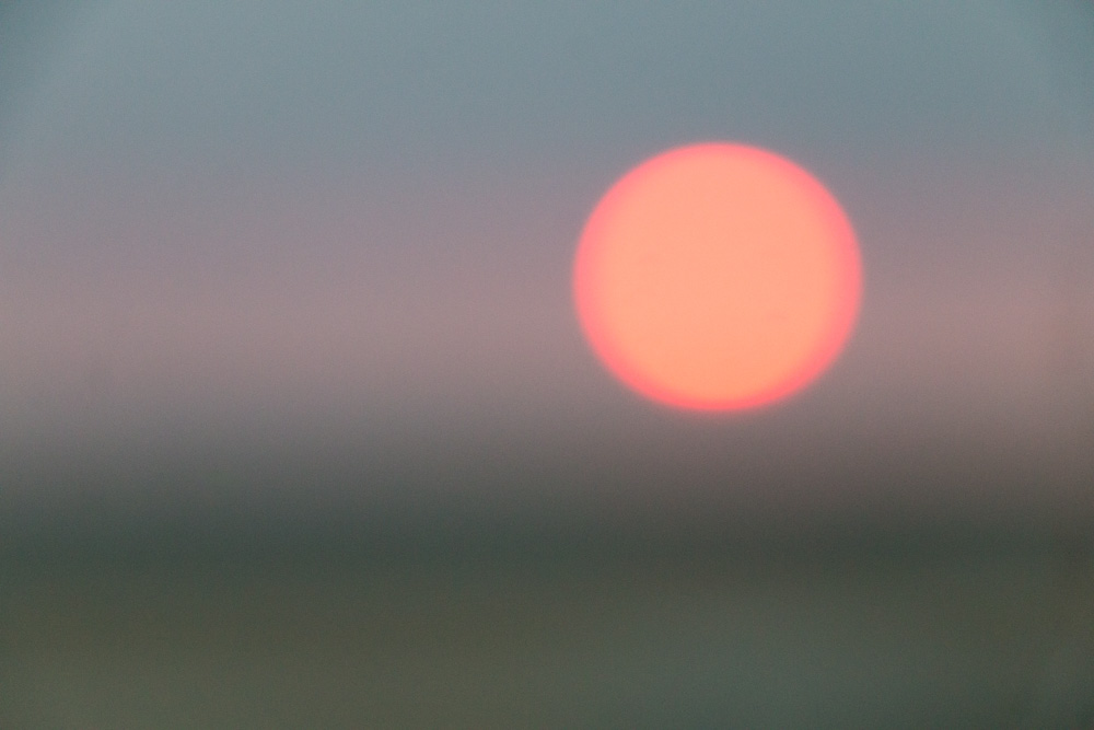 Out of Focus Sunset