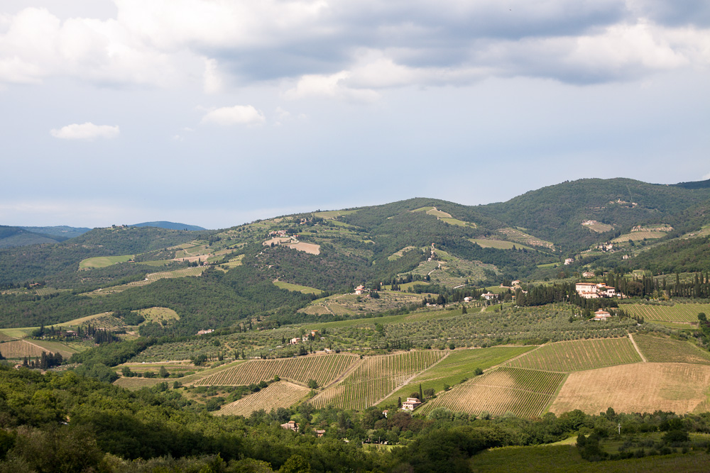 Tuscany (6)