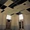 Dropped Ceiling (2)