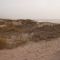 Dune at the Beach(25-04-2013)