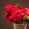 Red Roses(07-03-2013)