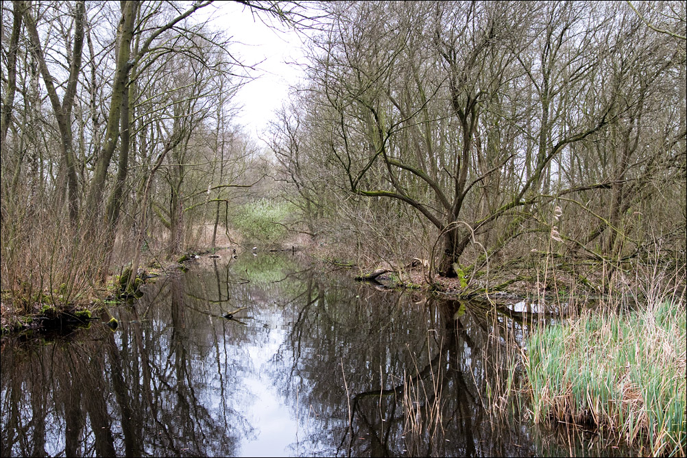 Amsterdamse Bos (2)
