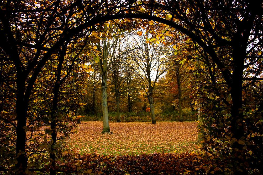 Arch of Leaves