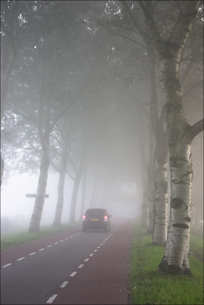 Drive into the Fog