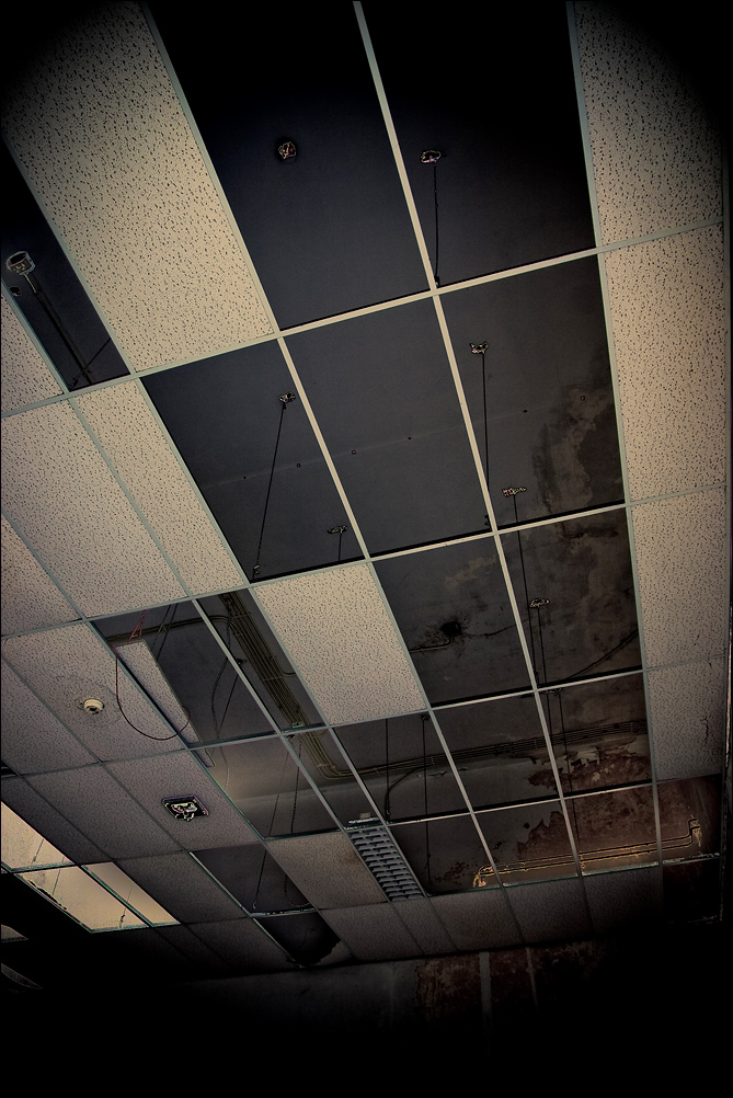 Dropped Ceiling