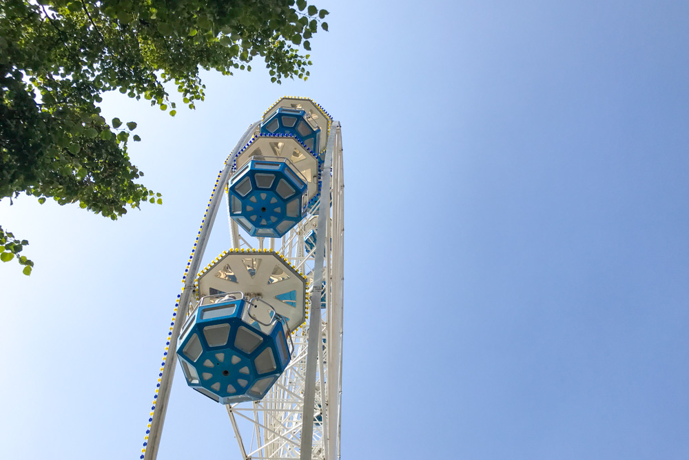 Ferris Wheel (6)