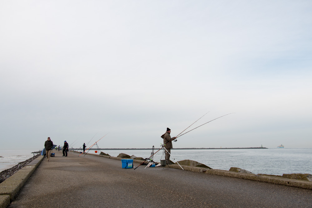 Fishing at the Pier (3)