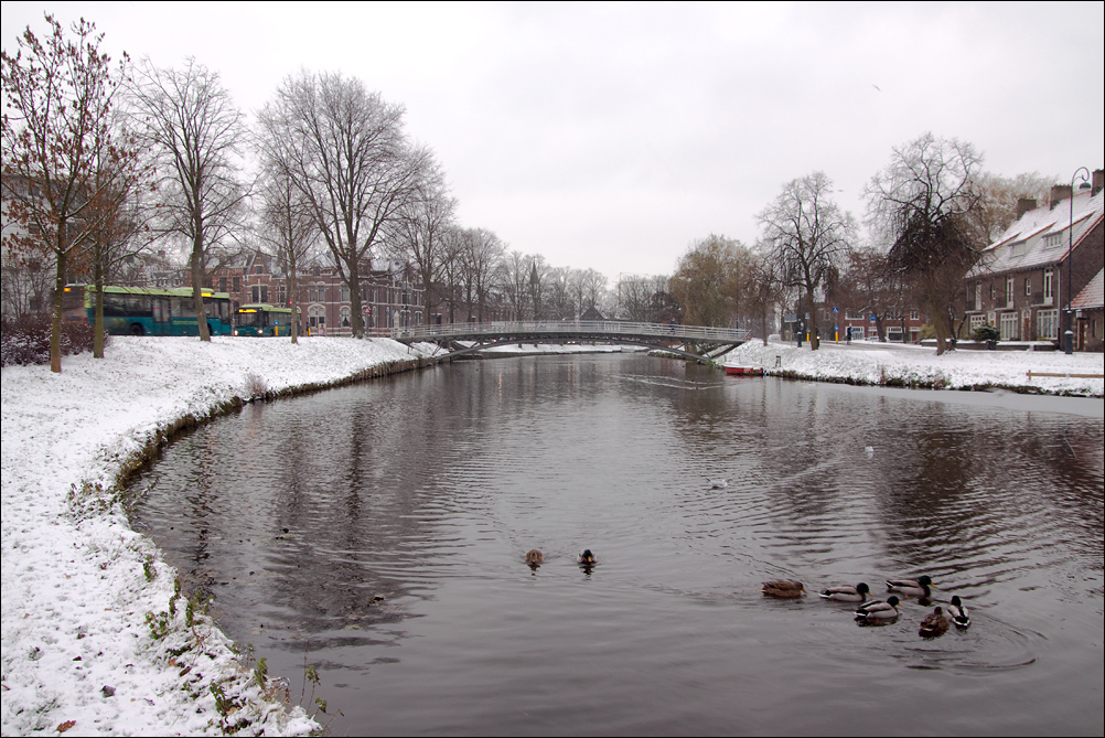 Haarlem Snow
