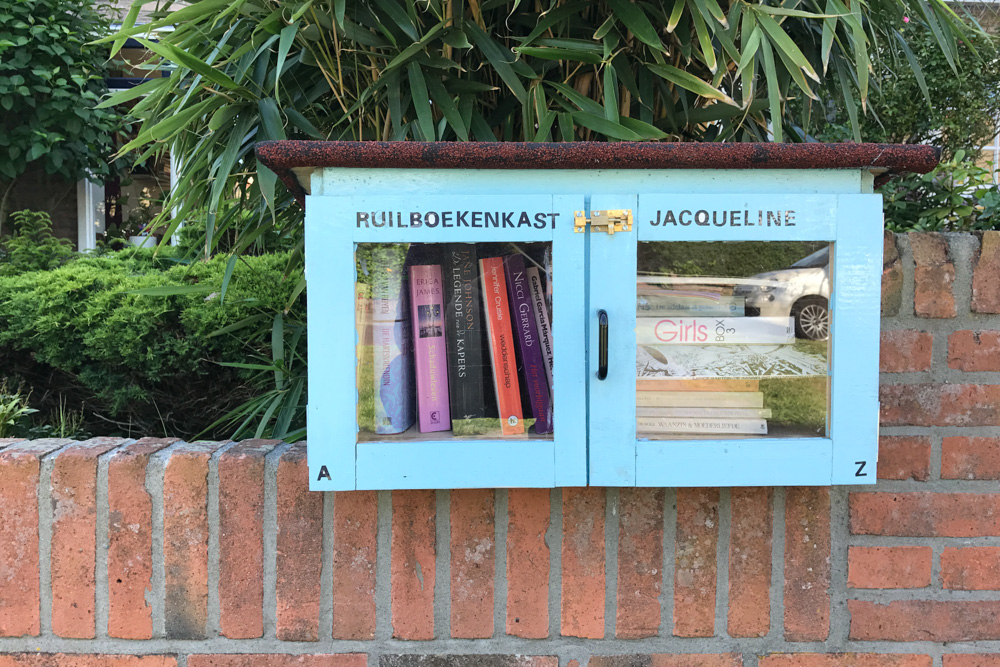 Little Free Library (2)