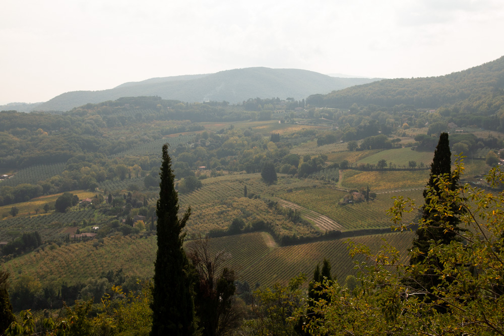 Montepulciano View