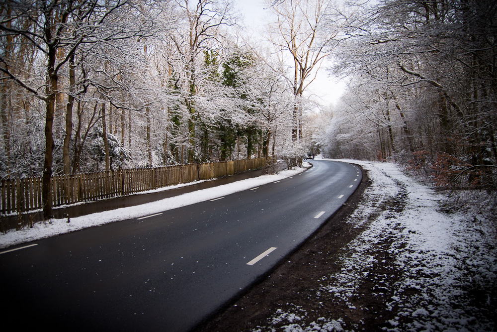 Snowy Road (2)
