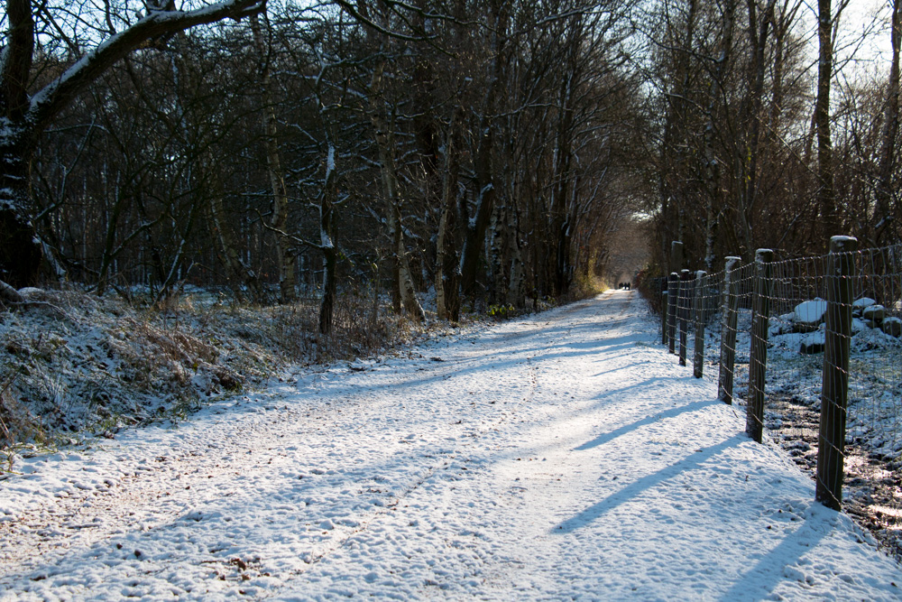 Snowy Road (3)