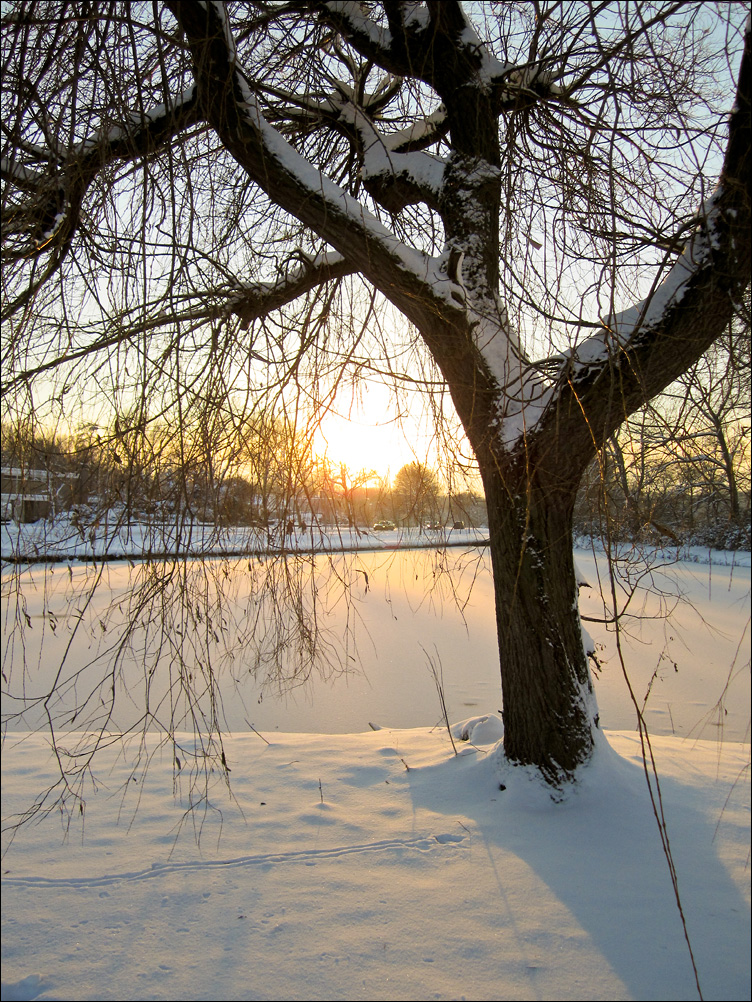 Winter Sunset (3)