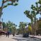 Cours Mirabeau(13-07-2014)