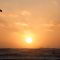 Sunset Kite(02-12-2011)